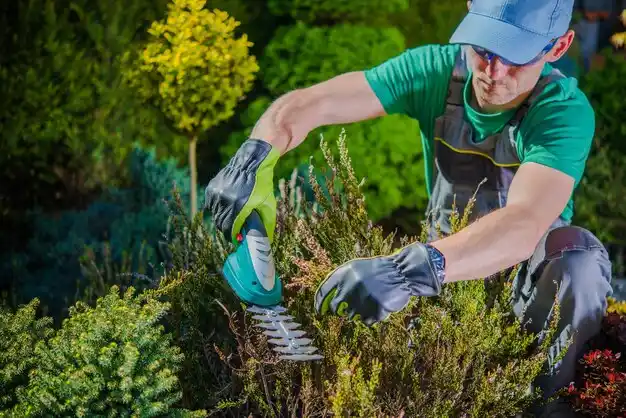 landscaping services River Bluff